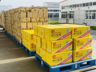 洪水无情，Z6尊龙官方中国入口有情——Z6尊龙官方中国入口捐赠物资助力抗洪救灾